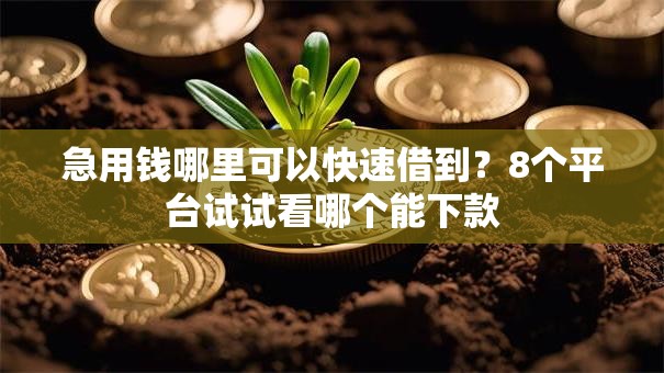 急用钱哪里可以快速借到？8个平台试试看哪个能下款