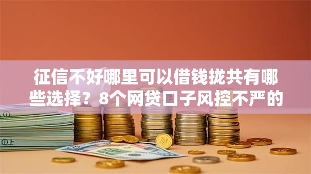 征信不好哪里可以借钱拢共有哪些选择？8个网贷口子风控不严的软件详解