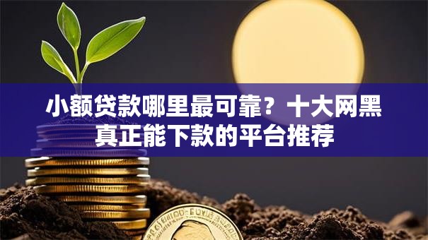 小额贷款哪里最可靠？十大网黑真正能下款的平台推荐