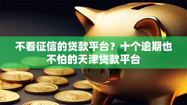 不看征信的贷款平台？十个逾期也不怕的天津贷款平台