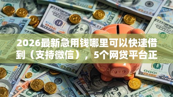 2026最新急用钱哪里可以快速借到（支持微信），5个网贷平台正规无私分享