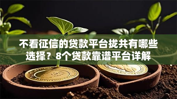不看征信的贷款平台拢共有哪些选择？8个贷款靠谱平台详解