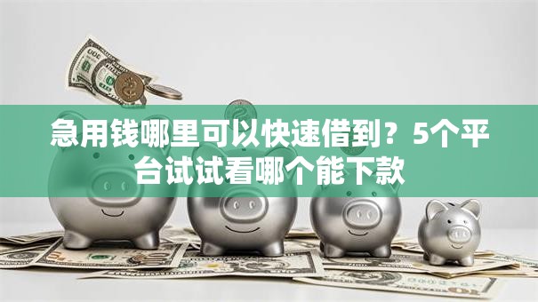 急用钱哪里可以快速借到？5个平台试试看哪个能下款
