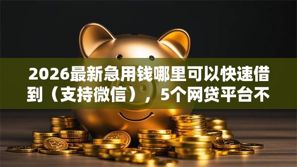 2026最新急用钱哪里可以快速借到（支持微信），5个网贷平台不用看征信可以放款的无私分享