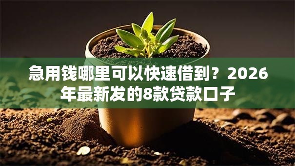 急用钱哪里可以快速借到？2026年最新发的8款贷款口子