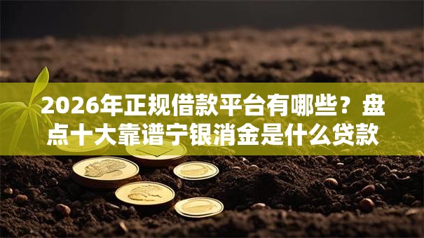 2026年正规借款平台有哪些?盘点十大靠谱宁银消金是什么贷款平台 2026年正规借款平台有哪些?盘点十大靠谱宁银消金是什么贷款平台