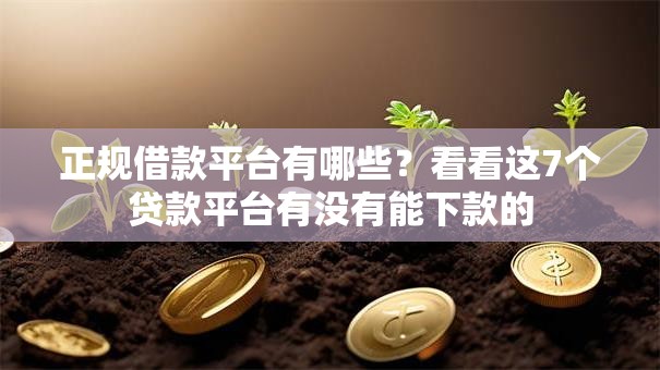正规借款平台有哪些？看看这7个贷款平台有没有能下款的