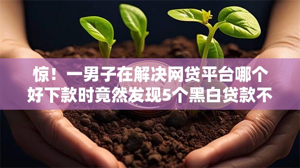 惊！一男子在解决网贷平台哪个好下款时竟然发现5个黑白贷款不是高炮的平台，事后分享了出来