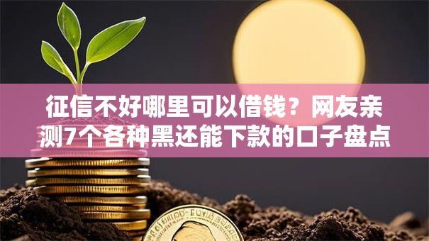 征信不好哪里可以借钱？网友亲测7个各种黑还能下款的口子盘点