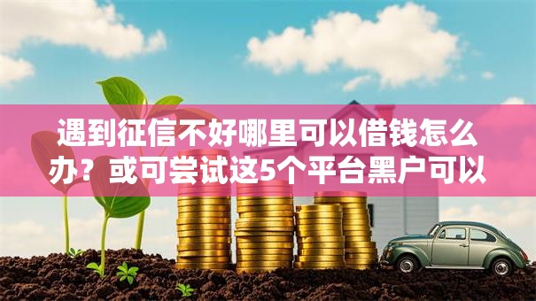 遇到征信不好哪里可以借钱怎么办？或可尝试这5个平台黑户可以下款的那种