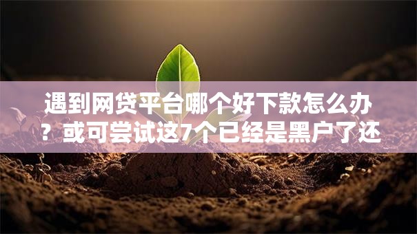 遇到网贷平台哪个好下款怎么办？或可尝试这7个已经是黑户了还能借到钱的软件