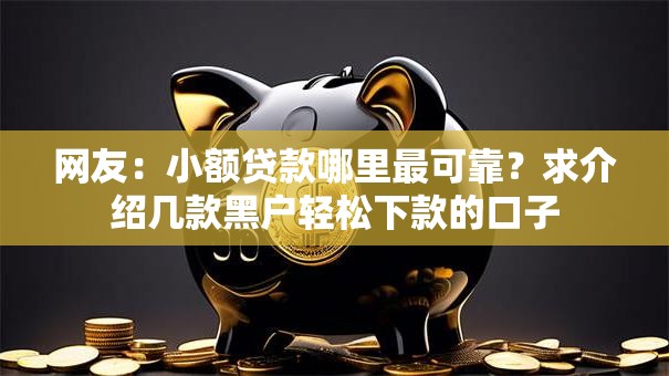 网友：小额贷款哪里最可靠？求介绍几款黑户轻松下款的口子