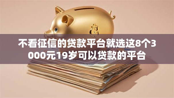 不看征信的贷款平台就选这8个3000元19岁可以贷款的平台