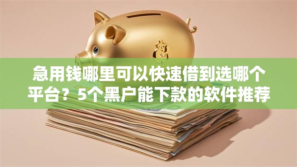 急用钱哪里可以快速借到选哪个平台？5个黑户能下款的软件推荐