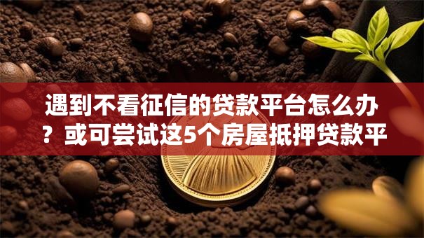 遇到不看征信的贷款平台怎么办？或可尝试这5个房屋抵押贷款平台