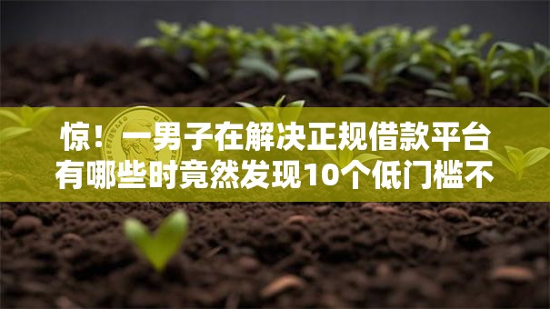 惊!一男子在解决正规借款平台有哪些时竟然发现10个低门槛不查征信的软件,事后分享了出来 惊!一男子在解决正规借款平台有哪些时竟然发现10个低门槛不查征信的软件,事后分享了出来