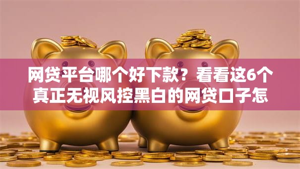 网贷平台哪个好下款？看看这6个真正无视风控黑白的网贷口子怎么样
