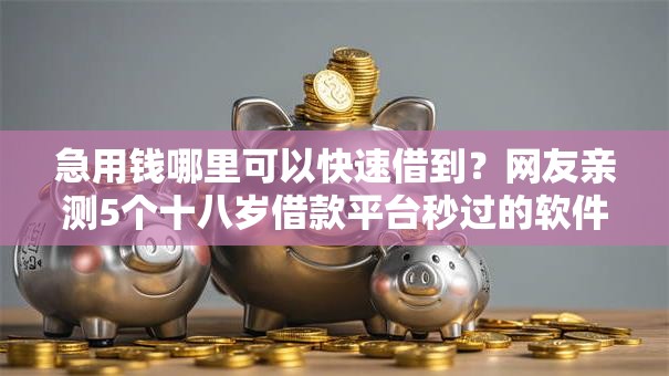 急用钱哪里可以快速借到？网友亲测5个十八岁借款平台秒过的软件盘点