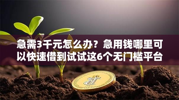 急需3千元怎么办？急用钱哪里可以快速借到试试这6个无门槛平台