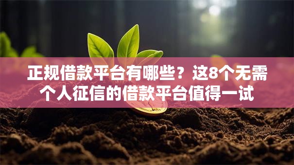 正规借款平台有哪些？这8个无需个人征信的借款平台值得一试