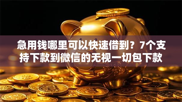 急用钱哪里可以快速借到？7个支持下款到微信的无视一切包下款5000秒下款的口子