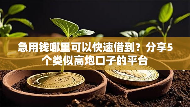 急用钱哪里可以快速借到？分享5个类似高炮口子的平台