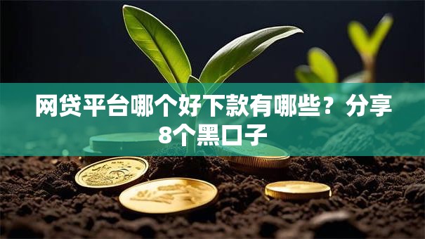 网贷平台哪个好下款有哪些？分享8个黑口子