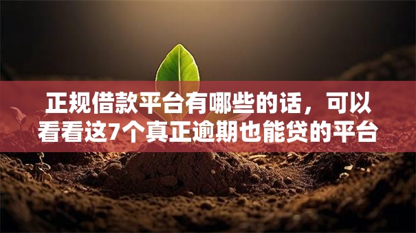 正规借款平台有哪些的话，可以看看这7个真正逾期也能贷的平台