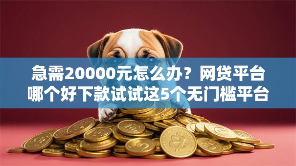 急需20000元怎么办？网贷平台哪个好下款试试这5个无门槛平台
