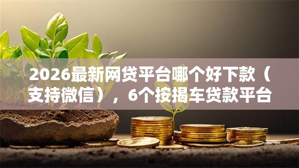 2026最新网贷平台哪个好下款（支持微信），6个按揭车贷款平台无私分享
