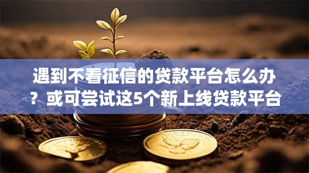 遇到不看征信的贷款平台怎么办?或可尝试这5个新上线贷款平台门槛低app 遇到不看征信的贷款平台怎么办?或可尝试这5个新上线贷款平台门槛低app