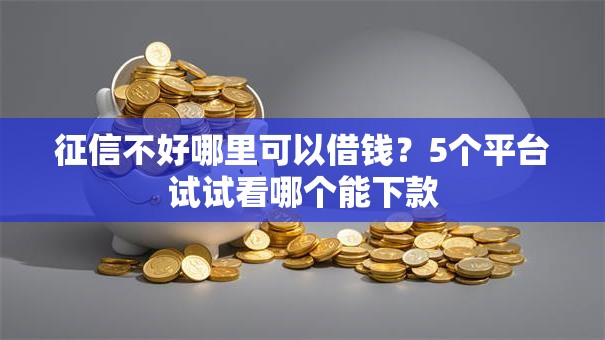 征信不好哪里可以借钱？5个平台试试看哪个能下款
