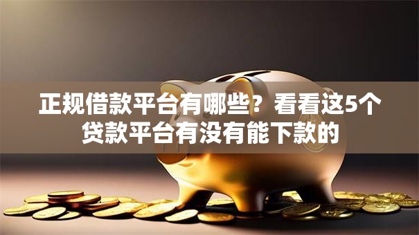 正规借款平台有哪些？看看这5个贷款平台有没有能下款的