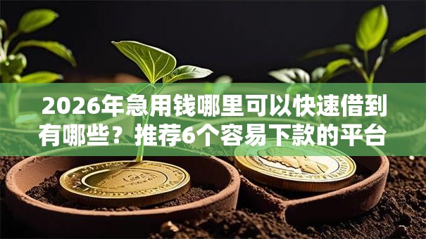 2026年急用钱哪里可以快速借到有哪些？推荐6个容易下款的平台