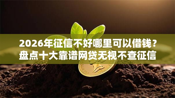 2026年征信不好哪里可以借钱？盘点十大靠谱网贷无视不查征信平台