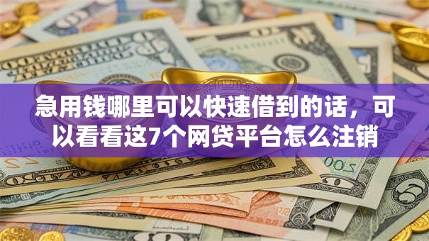急用钱哪里可以快速借到的话，可以看看这7个网贷平台怎么注销