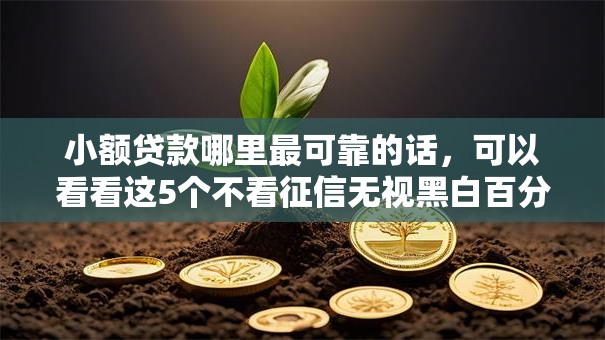 小额贷款哪里最可靠的话，可以看看这5个不看征信无视黑白百分百下款平台