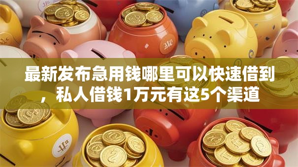 最新发布急用钱哪里可以快速借到，私人借钱1万元有这5个渠道