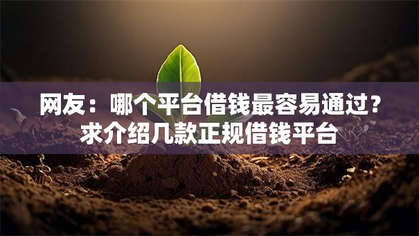 网友：哪个平台借钱最容易通过？求介绍几款正规借钱平台