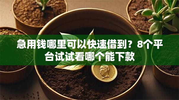 急用钱哪里可以快速借到?8个平台试试看哪个能下款 急用钱哪里可以快速借到?8个平台试试看哪个能下款
