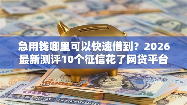 急用钱哪里可以快速借到？2026最新测评10个征信花了网贷平台哪些好下款