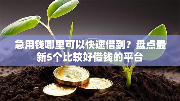 急用钱哪里可以快速借到?盘点最新5个比较好借钱的平台 急用钱哪里可以快速借到?盘点最新5个比较好借钱的平台