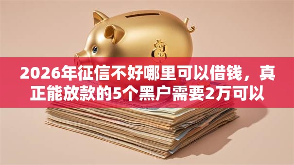 2026年征信不好哪里可以借钱，真正能放款的5个黑户需要2万可以在借款平台借款推荐
