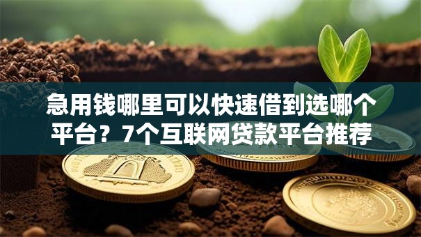 急用钱哪里可以快速借到选哪个平台?7个互联网贷款平台推荐 急用钱哪里可以快速借到选哪个平台?7个互联网贷款平台推荐