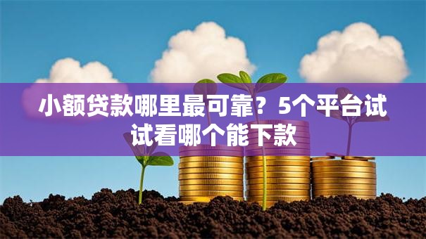 小额贷款哪里最可靠？5个平台试试看哪个能下款