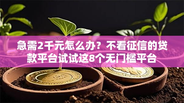 急需2千元怎么办？不看征信的贷款平台试试这8个无门槛平台