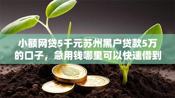 小额网贷5千元苏州黑户贷款5万的口子，急用钱哪里可以快速借到的5个平台介绍