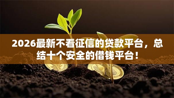 2026最新不看征信的贷款平台，总结十个安全的借钱平台！