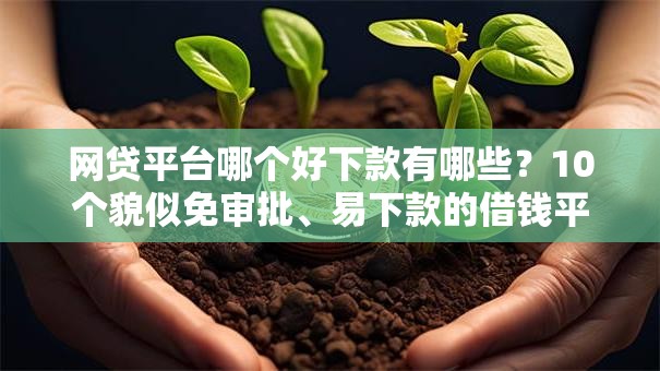 网贷平台哪个好下款有哪些?10个貌似免审批、易下款的借钱平台合集 网贷平台哪个好下款有哪些?10个貌似免审批、易下款的借钱平台合集
