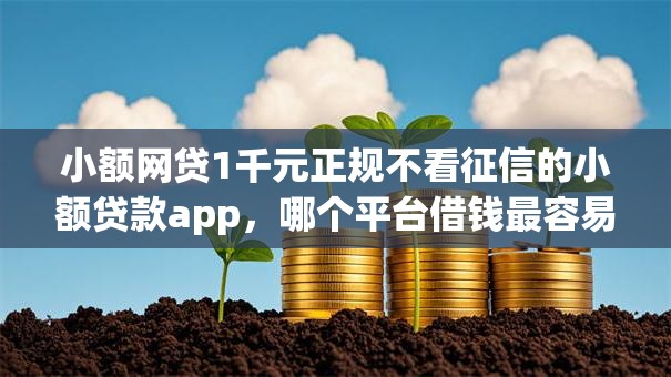小额网贷1千元正规不看征信的小额贷款app，哪个平台借钱最容易通过的8个平台介绍